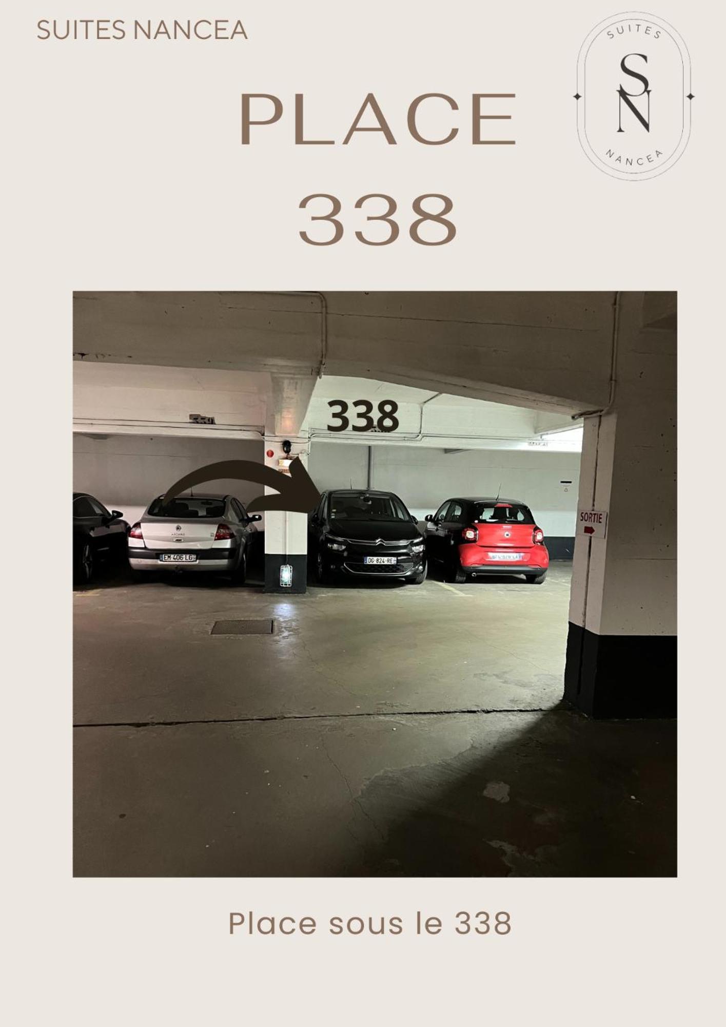 Apartment Vue Sur Le Palais - Gare Congres - Parking - T3 Nancy